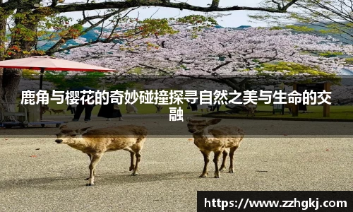 鹿角与樱花的奇妙碰撞探寻自然之美与生命的交融