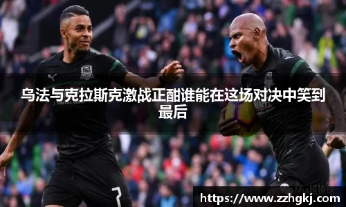 伟德bv国际体育